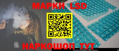 гидра Гай