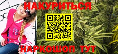 Альфа ПВП Гатчина