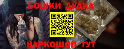 гидра Гай