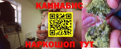 гидра Гай