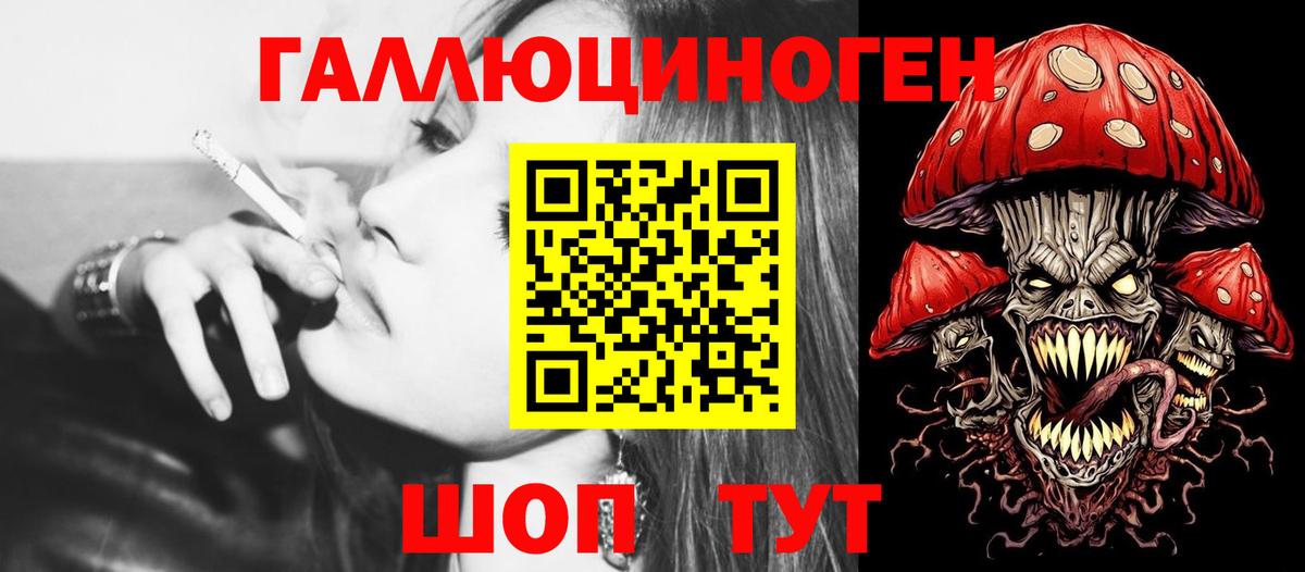 Миасс  дарнет шоп  Вход с VPN  Псилоцибиновые грибы Psilocybe 